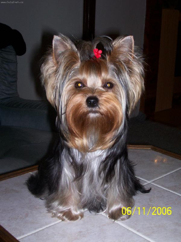 Foto: Bessy